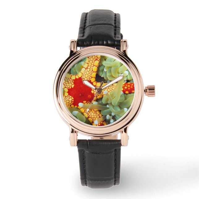 Rode en gele zeester horloge (Voorkant)