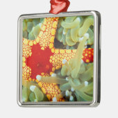 Rode en gele zeester metalen ornament (Links)