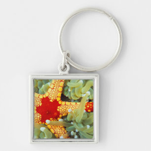 Rode En Gele Zeester Sleutelhanger