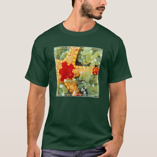 Rode En Gele Zeester T-shirt (Voorkant)