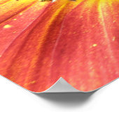 Rode en gele zonnebloem poster (Hoek)