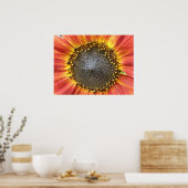 Rode en gele zonnebloem poster (Keuken)