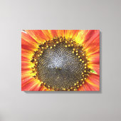 Rode en gele zonnebloempandoek canvas afdruk (Voorkant)
