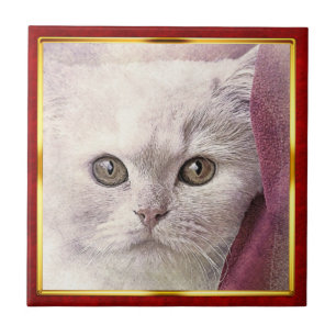 Rode en gouden abstracte kattenprint met lijst tegeltje