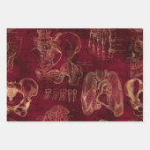 Rode en gouden anatomie Tekening op rood Inpakpapier Vel (Voorkant)