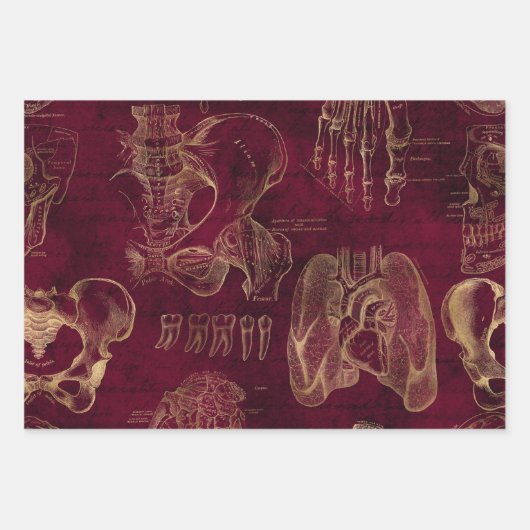 Rode en gouden anatomie Tekening op rood Inpakpapier Vel (Voorkant)