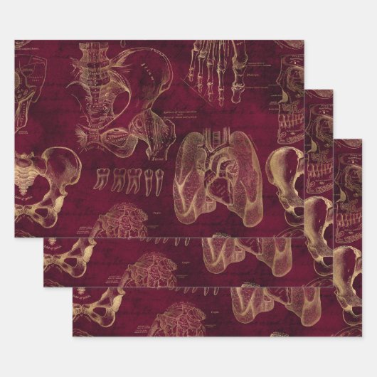 Rode en gouden anatomie Tekening op rood Inpakpapier Vel (Set)
