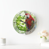 Rode en gouden Macaw-klok Grote Klok (Huis)