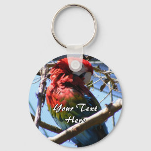 Rode en gouden Macaw Sleutelhanger
