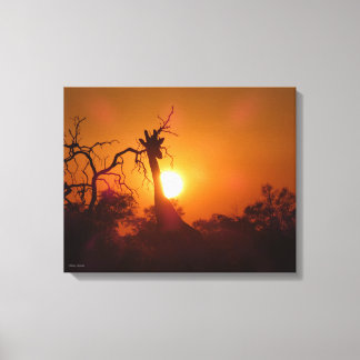 Rode en gouden zonsondergang met een giraffe in si canvas afdruk