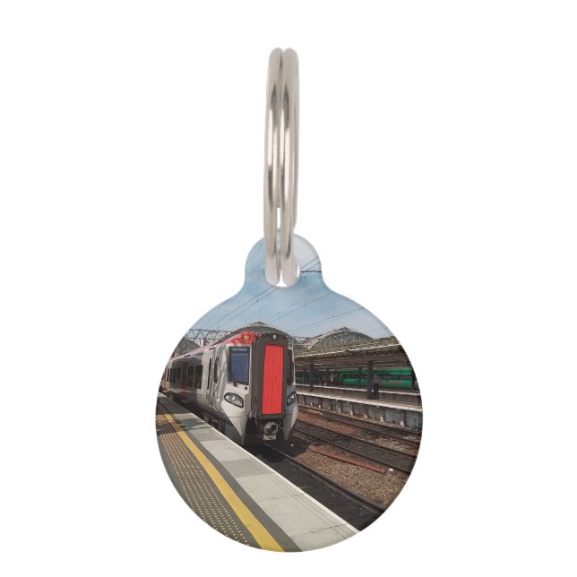 Rode en grijze trein huisdierpenning (Voorkant)