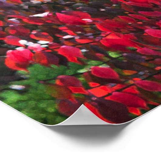 Rode en groene bladeren poster (Hoek)