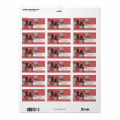 Rode en groene  kerstlabels voor vogels etiket (Full Sheet)