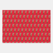 Rode en Groene Kerstman Kerstmis Inpakpapier Vel (Voorkant 3)