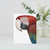 Rode en groene Macaw - Ara chloropterus Briefkaart (Staand voorkant)