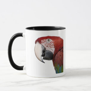 Rode en groene Macaw - Ara chloropterus Mok