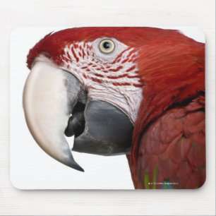 Rode en groene Macaw - Ara chloropterus Muismat