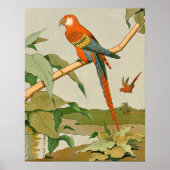 Rode en groene Macaw Oerwoud Parrot Poster (Voorkant)