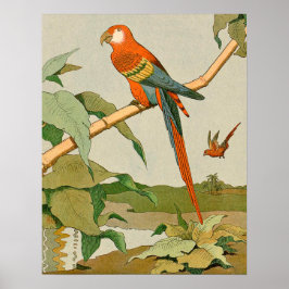 Rode en groene Macaw Oerwoud Parrot Poster