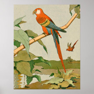 Rode en groene Macaw Oerwoud Parrot Poster