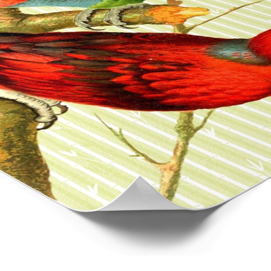  rode en groene parrots op de achtergrond van Bamb Poster (Hoek)