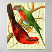  rode en groene parrots op de achtergrond van Bamb Poster (Voorkant)