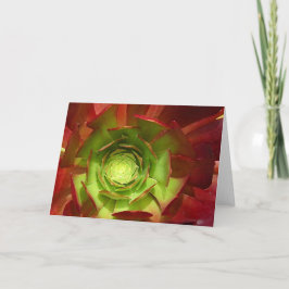 Rode en Groene Succulent door Amy Vangsgard Kaart