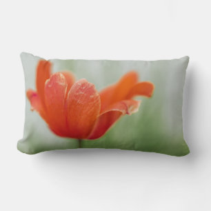 Rode En GroeneTulp Bloemblad Close-Up Foto Kussen