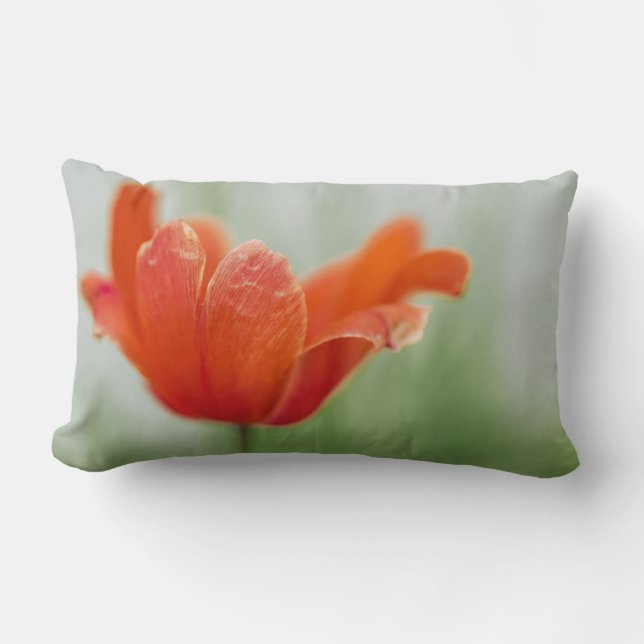Rode En GroeneTulp Bloemblad Close-Up Foto Kussen (Voorkant)
