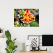 Rode en Oranje Alstroemeria Flowers Poster (Thuiskantoor)