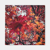 Rode en oranje bladeren magneet (Voorkant)