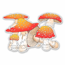Rode en oranje paddenstoel sticker