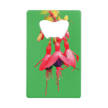Rode en paarse bloemen