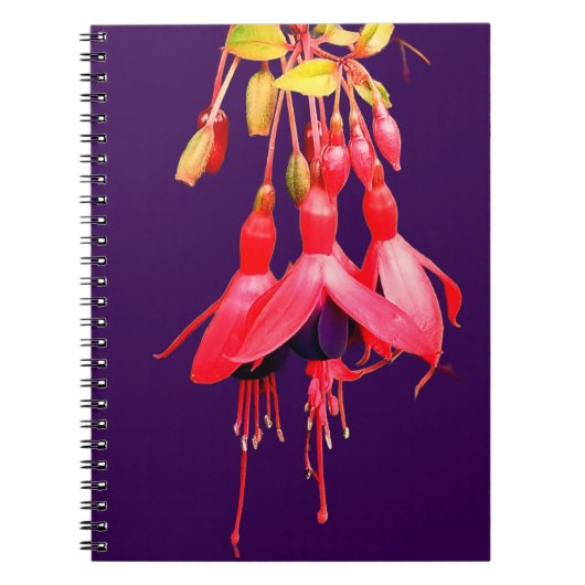 Rode en paarse bloemen notitieboek (Voorkant)
