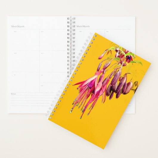 Rode en paarse bloemen planner (Display)