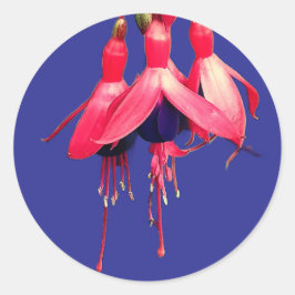 Rode en paarse bloemen ronde sticker