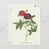  rode en Paarse Rozen botanische afdrukken Briefkaart (Voorkant / Achterkant)