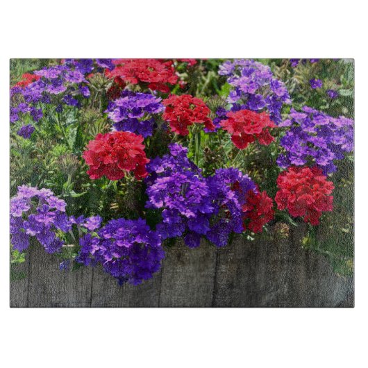 Rode en Paarse snijwand Snijplank (Voorkant)