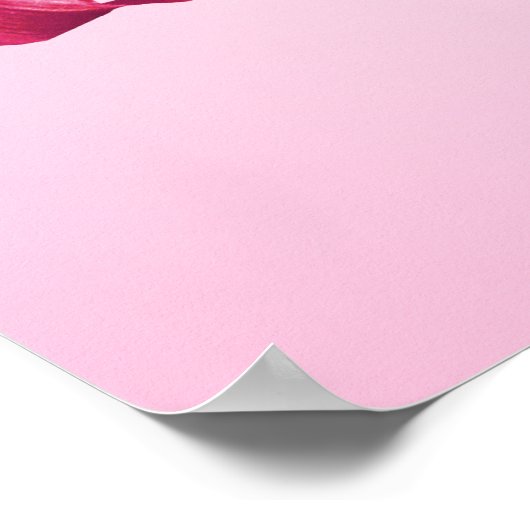 Rode en roze) het posterdruk van de vlag van de poster (Hoek)