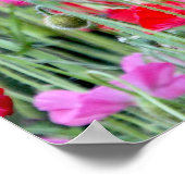 Rode en roze papaver poster (Hoek)