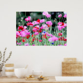 Rode en roze papaver poster (Keuken)
