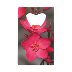 Rode en roze tropische Fiji Flowers Creditkaart Flessenopener