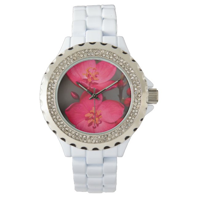 Rode en roze tropische Fiji Flowers Horloge (Voorkant)
