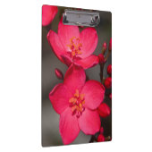 Rode en roze tropische Fiji Flowers Klembord (Rechts)