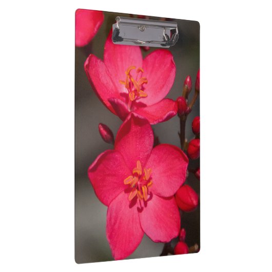 Rode en roze tropische Fiji Flowers Klembord (Rechts)