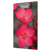 Rode en roze tropische Fiji Flowers Klembord (Links)