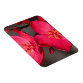 Rode en roze tropische Fiji Flowers Magneet (Rechterzijde)