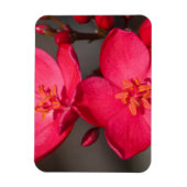 Rode en roze tropische Fiji Flowers Magneet (Verticaal)