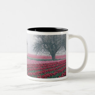 Rode en roze tulpen begroeten de dag in een neveli tweekleurige koffiemok