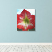 Rode en witte Amaryllis bloem tegen de hemel Canvas Afdruk (Insitu (Houten vloer))